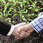 Futures: Understanding Hedging in Agricultural Commodities